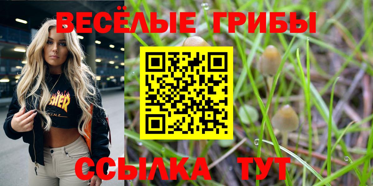 Псилоцибиновые грибы мицелий Сосновоборск